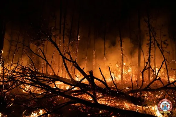 PHOTOS: South Jersey Forest Fire Burns 13,500 Acres, State Says 95% Contained PHOTOS: South Jersey Forest Fire Burns 13,500 Acres, State Says 95% Contained