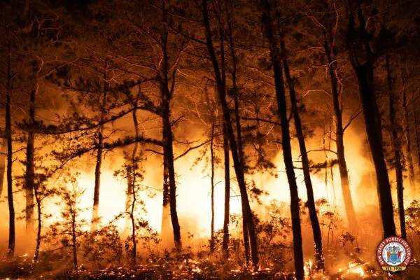 PHOTOS: South Jersey Forest Fire Burns 13,500 Acres, State Says 95% Contained PHOTOS: South Jersey Forest Fire Burns 13,500 Acres, State Says 95% Contained