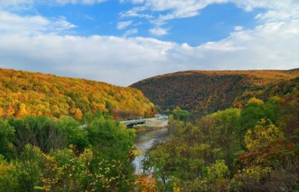 Here are some of the best places to see fall foliage in New Jersey Here are some of the best places to see fall foliage in New Jersey