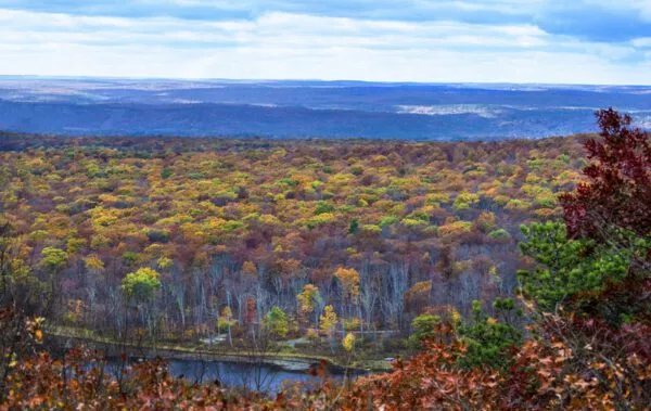 Here are some of the best places to see fall foliage in New Jersey Here are some of the best places to see fall foliage in New Jersey