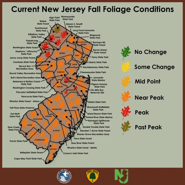 This map shows the best places to see New Jersey's fall foliage color explosion This map shows the best places to see New Jersey's fall foliage color explosion