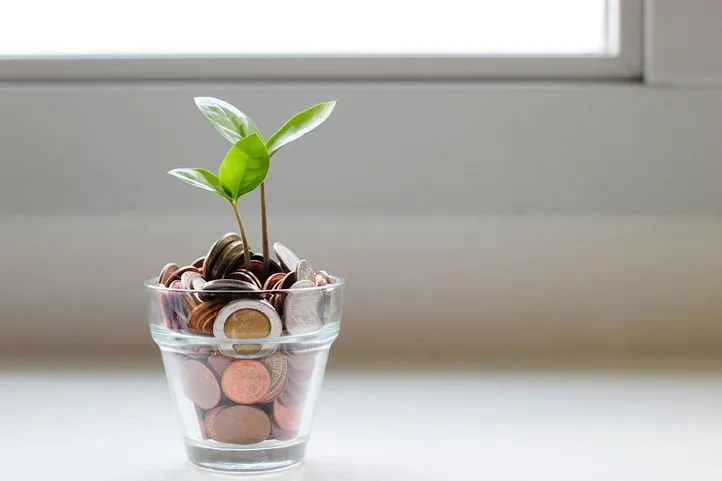 Franchise Growth Solutions Expands Its Services to Assist Start-up and Emerging Brands with Funding Franchise Growth Solutions Expands Its Services to Assist Start-up and Emerging Brands with Funding