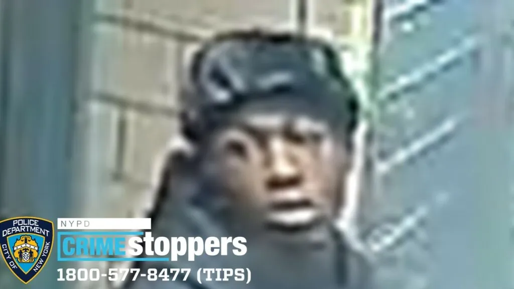 Bicyclist attacked and robbed near Triboro Plaza Photo 1