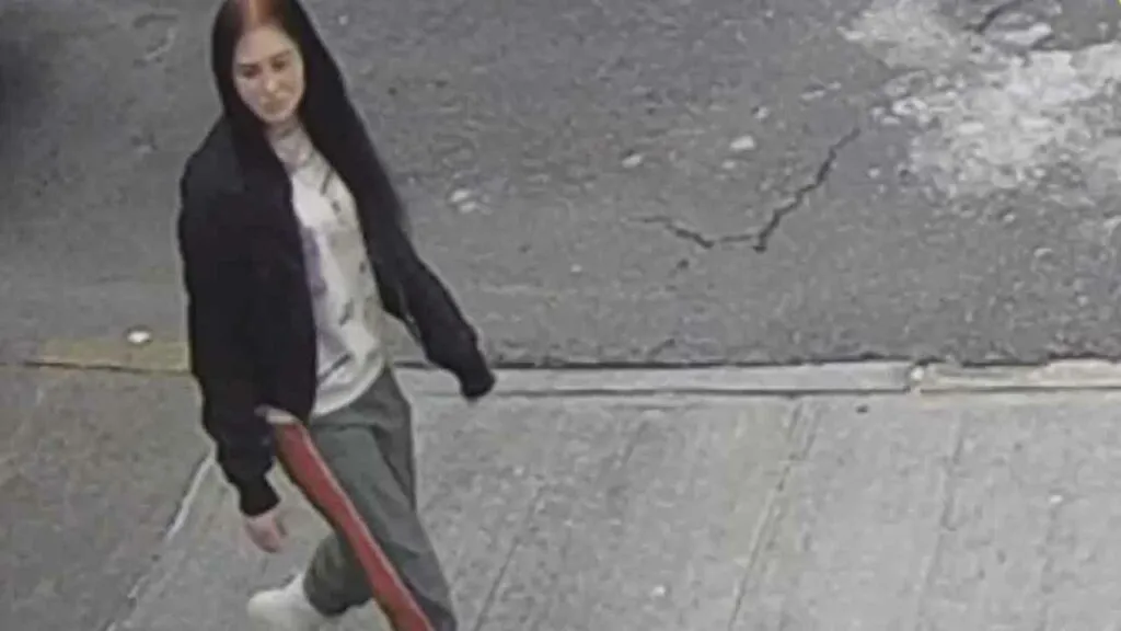 Teen charged in deadly Bronx fire Teen charged in deadly Bronx fire