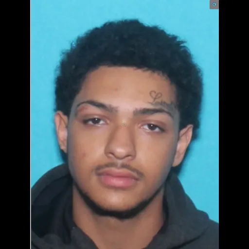 Teen fugitive arrested for assaulting state trooper during traffic stop, fleeing Teen fugitive arrested for assaulting state trooper during traffic stop, fleeing