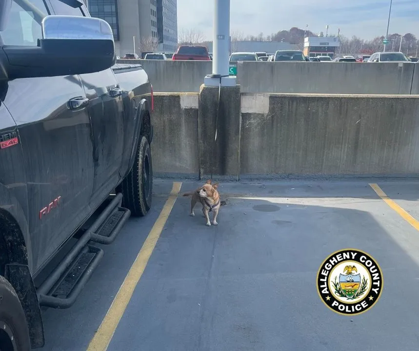 Man Abandons Dog in Parking Garage Before Flight Departed Pittsburgh International Man Abandons Dog in Parking Garage Before Flight Departed Pittsburgh International