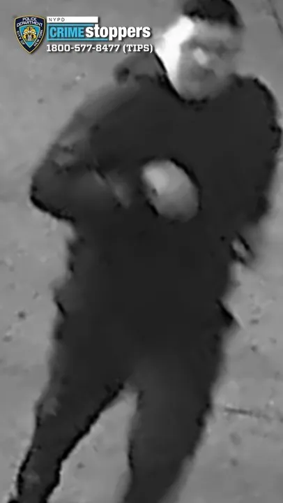 Bronx teen jumped, beaten, and robbed of his shoes in street attack by three men who fled in a gray sedan 1347 25 Robbery 40 Pct Photo1 2