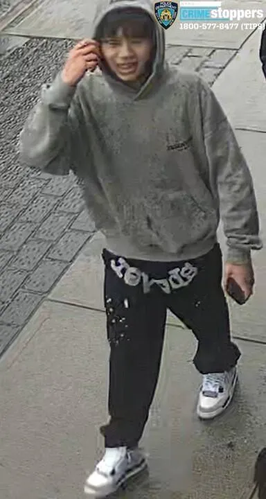 Six suspects sought in group assault and robbery in Flushing Six suspects sought in group assault and robbery in Flushing