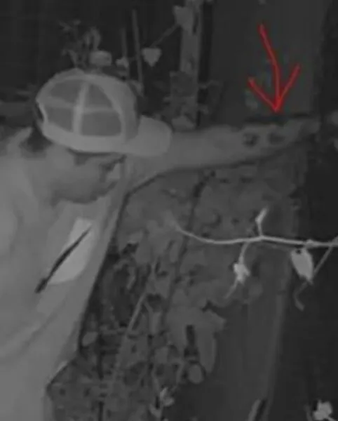 Newark police seek suspect in violent assault and robbery 2 5