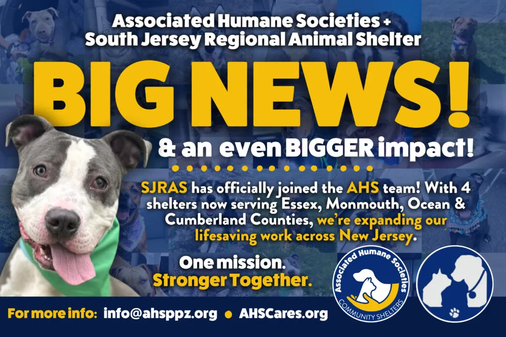 New Jersey’s largest animal welfare group merges with South Jersey shelter to expand services statewide New Jersey’s largest animal welfare group merges with South Jersey shelter to expand services statewide
