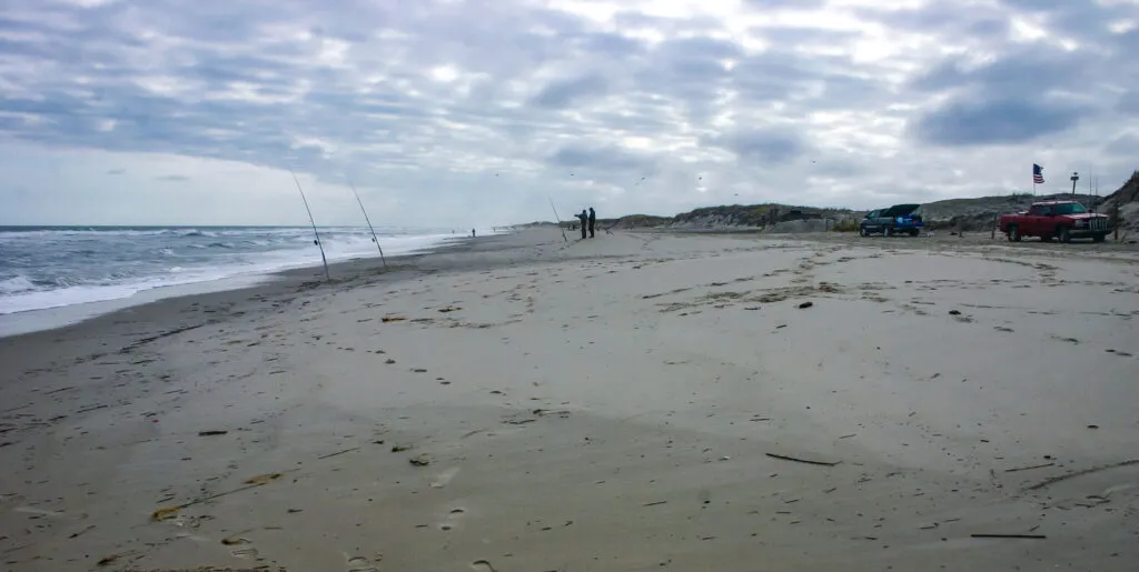 New Jersey Restricts Access Island Beach State Park Through Late August Over Birds and Toilets New Jersey Restricts Access Island Beach State Park Through Late August Over Birds and Toilets