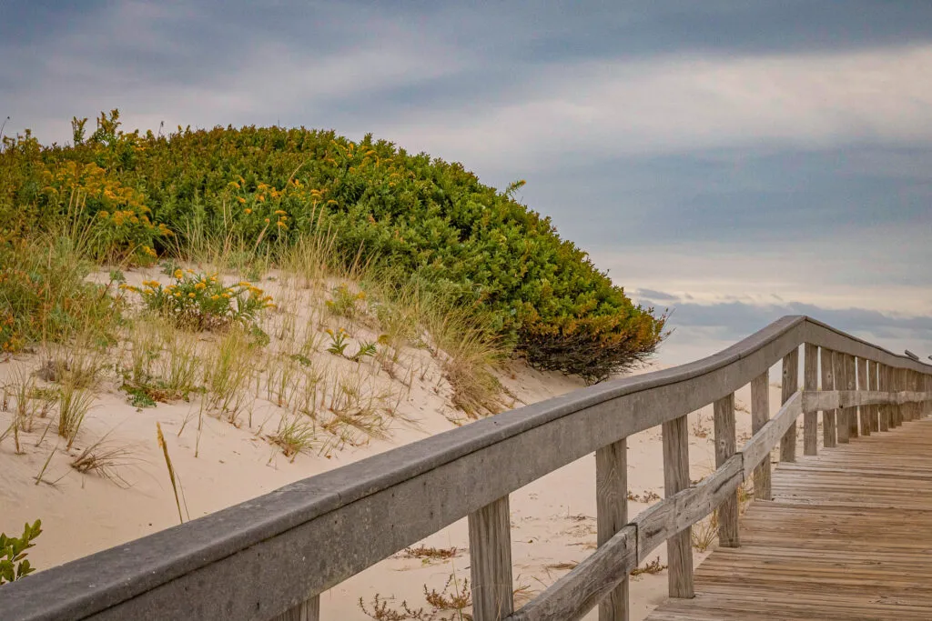 New Jersey Restricts Access Island Beach State Park Through Late August Over Birds and Toilets New Jersey Restricts Access Island Beach State Park Through Late August Over Birds and Toilets