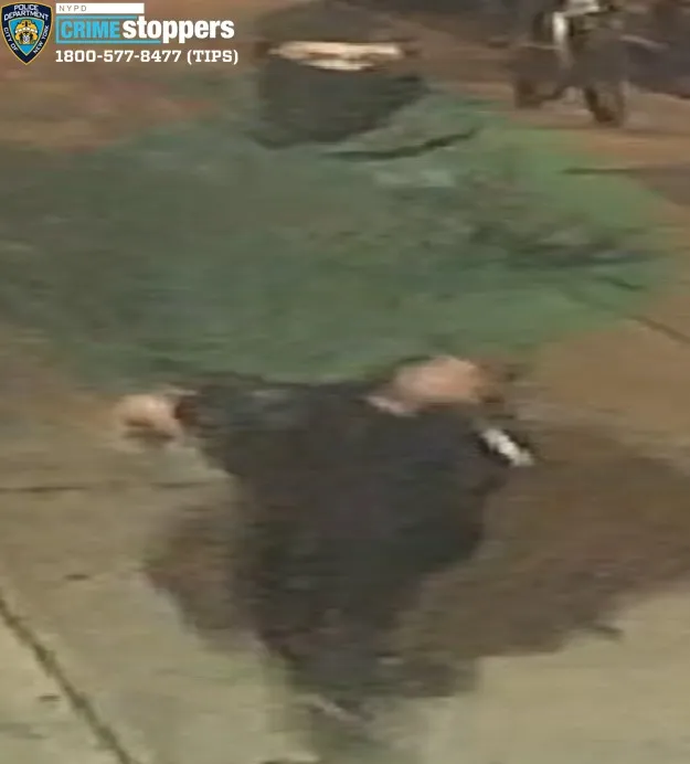 Armed Robbers Snatch $5,500 in Cash and a Necklace in the Bronx Armed Robbers Snatch $5,500 in Cash and a Necklace in the Bronx