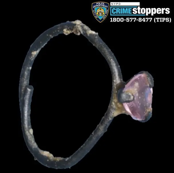 Human remains with rose tattoo found off Jackie Robinson Parkway identified as young woman, investigation underway Human remains with rose tattoo found off Jackie Robinson Parkway identified as young woman, investigation underway