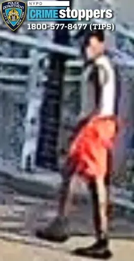 Man ambushed and robbed for gold chain in Bronx as gun-wielding duo flees into park Man ambushed and robbed for gold chain in Bronx as gun-wielding duo flees into park