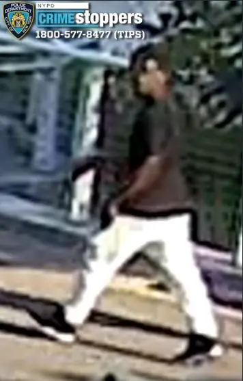 Man ambushed and robbed for gold chain in Bronx as gun-wielding duo flees into park Man ambushed and robbed for gold chain in Bronx as gun-wielding duo flees into park