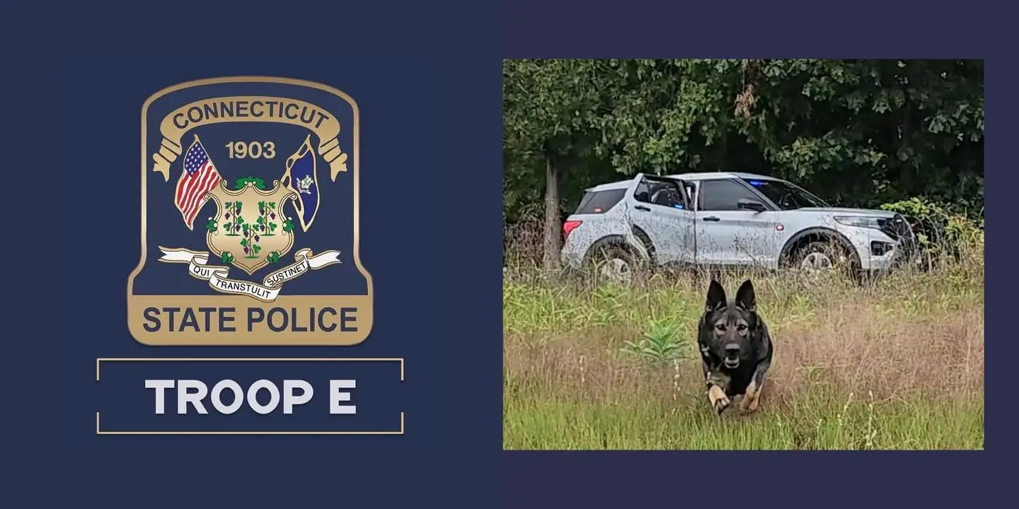 Connecticut K9 tracks swamp-covered fugitive then finds missing man hours later Connecticut K9 tracks swamp-covered fugitive then finds missing man hours later