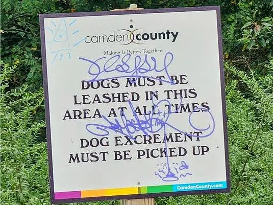 Graffiti vandals caught on camera tagging Gloucester Township parks and businesses Graffiti vandals caught on camera tagging Gloucester Township parks and businesses